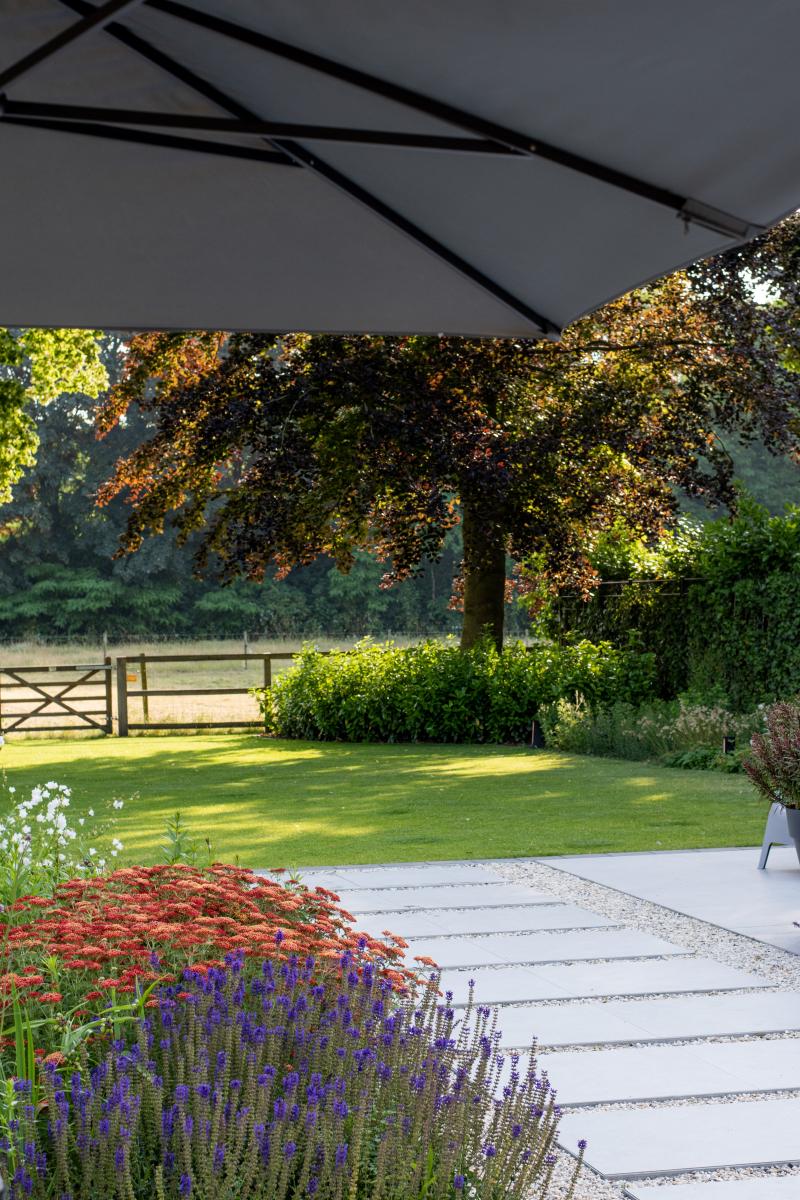 Lorem ipsum dolor sit