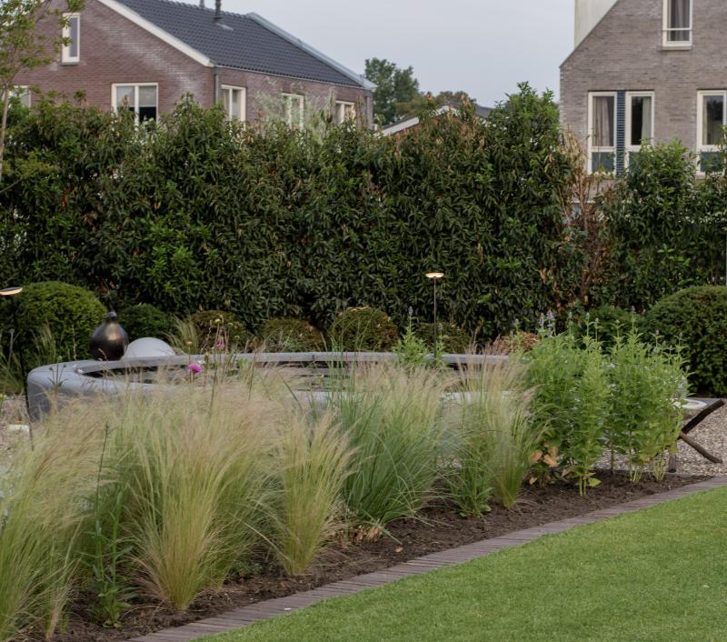 Lorem ipsum dolor sit