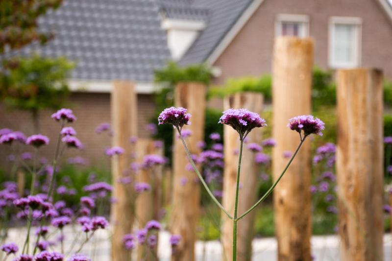 Bunschoten