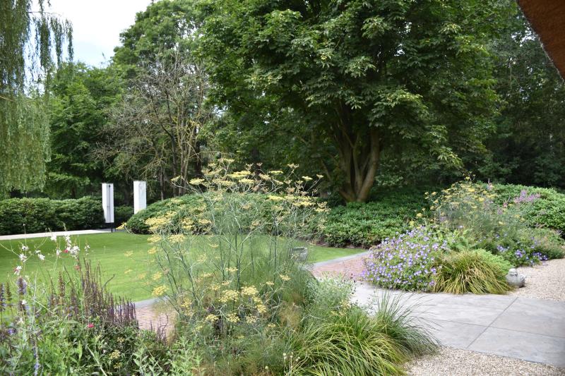 Lorem ipsum dolor sit