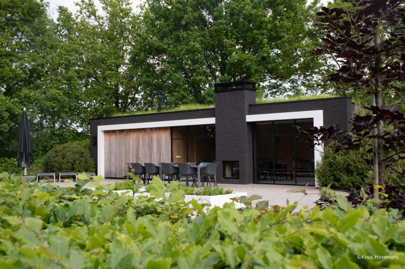 Lorem ipsum dolor sit